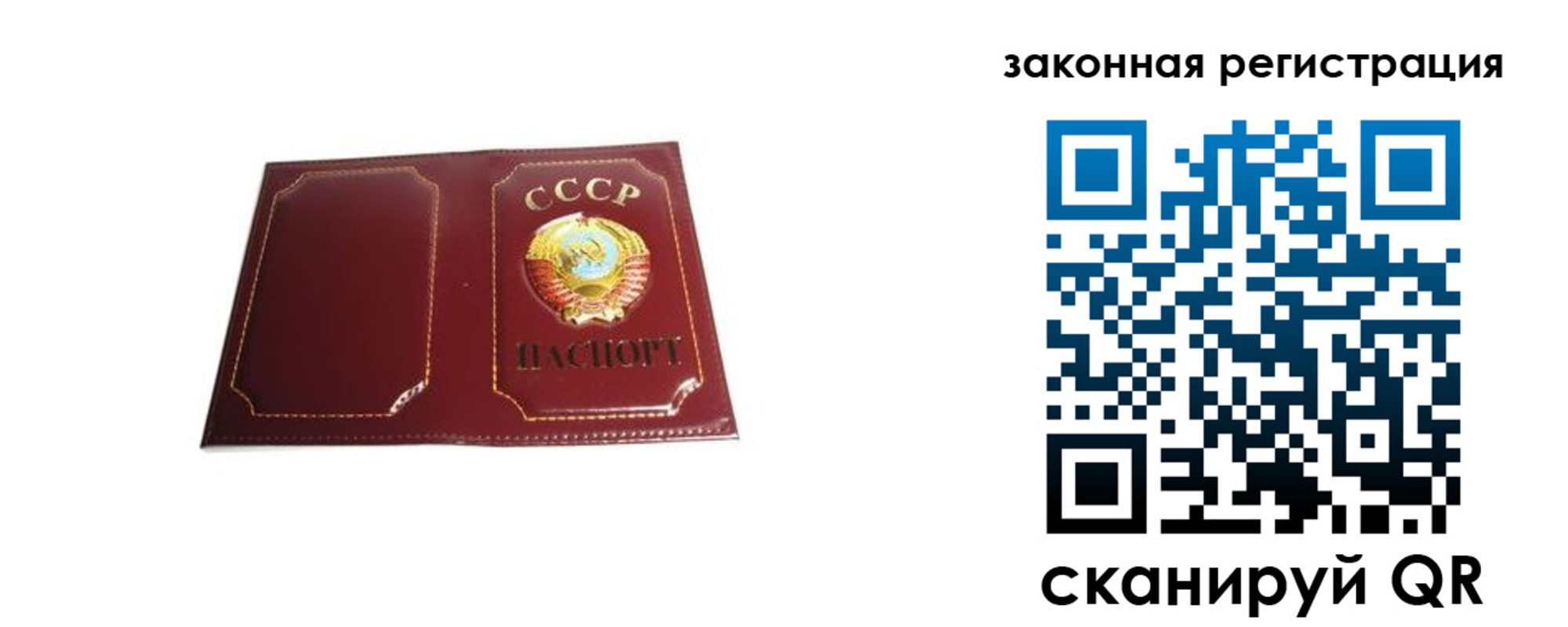 прописка поиск в Александровске